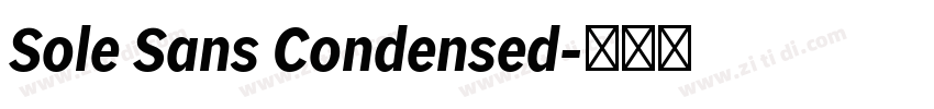 Sole Sans Condensed字体转换